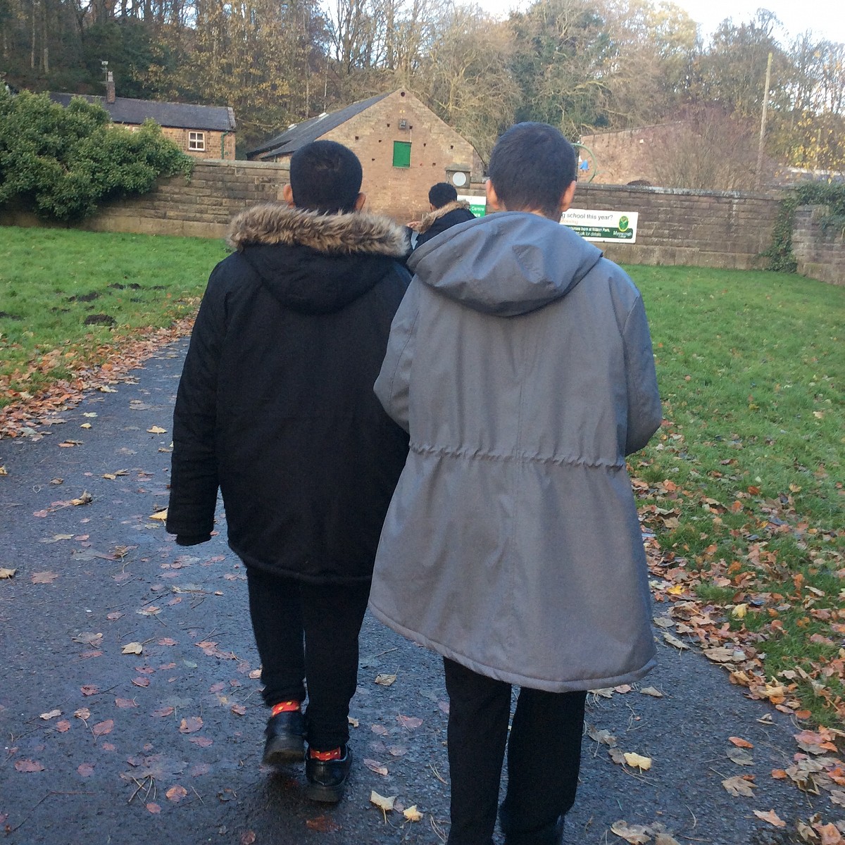 The Amazing Effects of Exercise