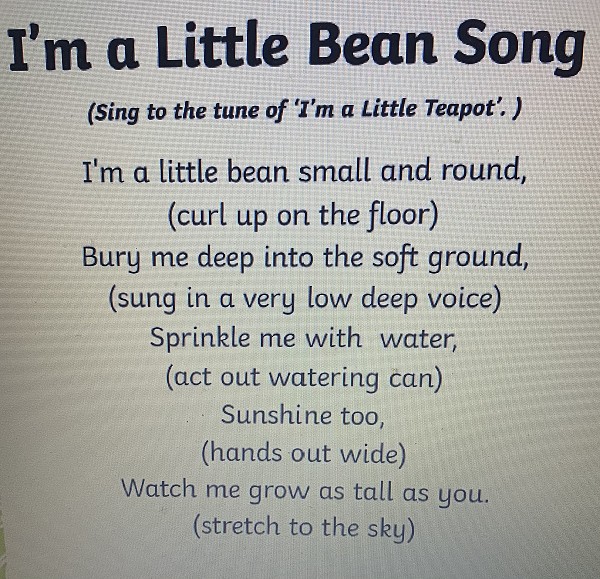 bean song