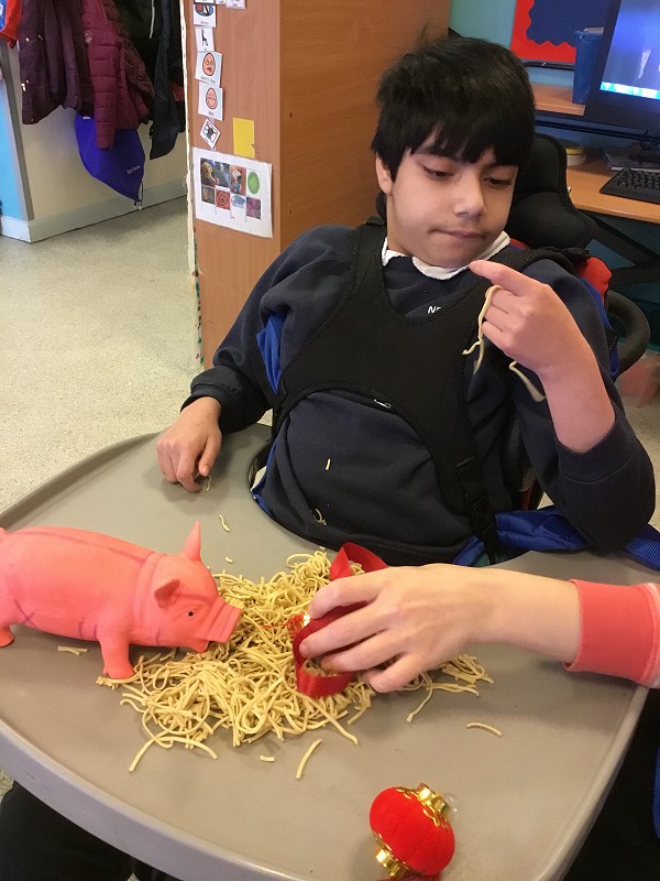 exploring noodles