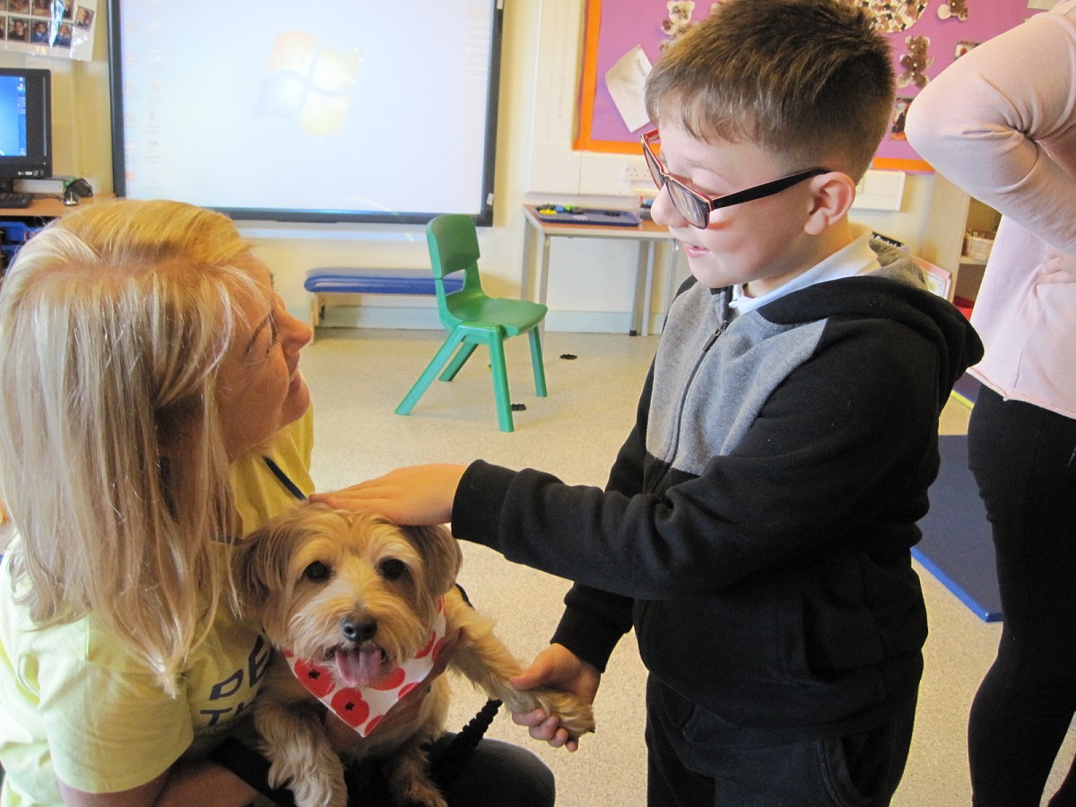 Baxter's First Day at Newfield