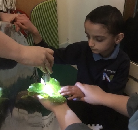 Full Return to School!