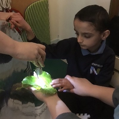 Full Return to School!