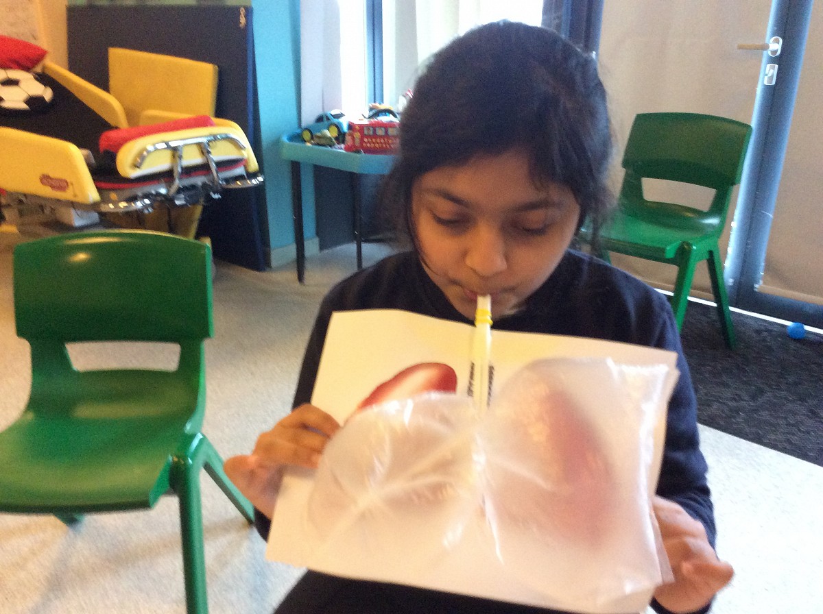 Scientific Learning is Fun!