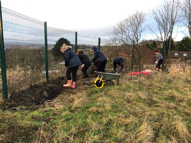 Developing our Gardens