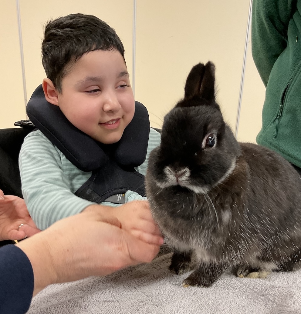 Exploring Amazing Animals