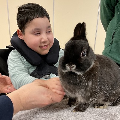 Exploring Amazing Animals