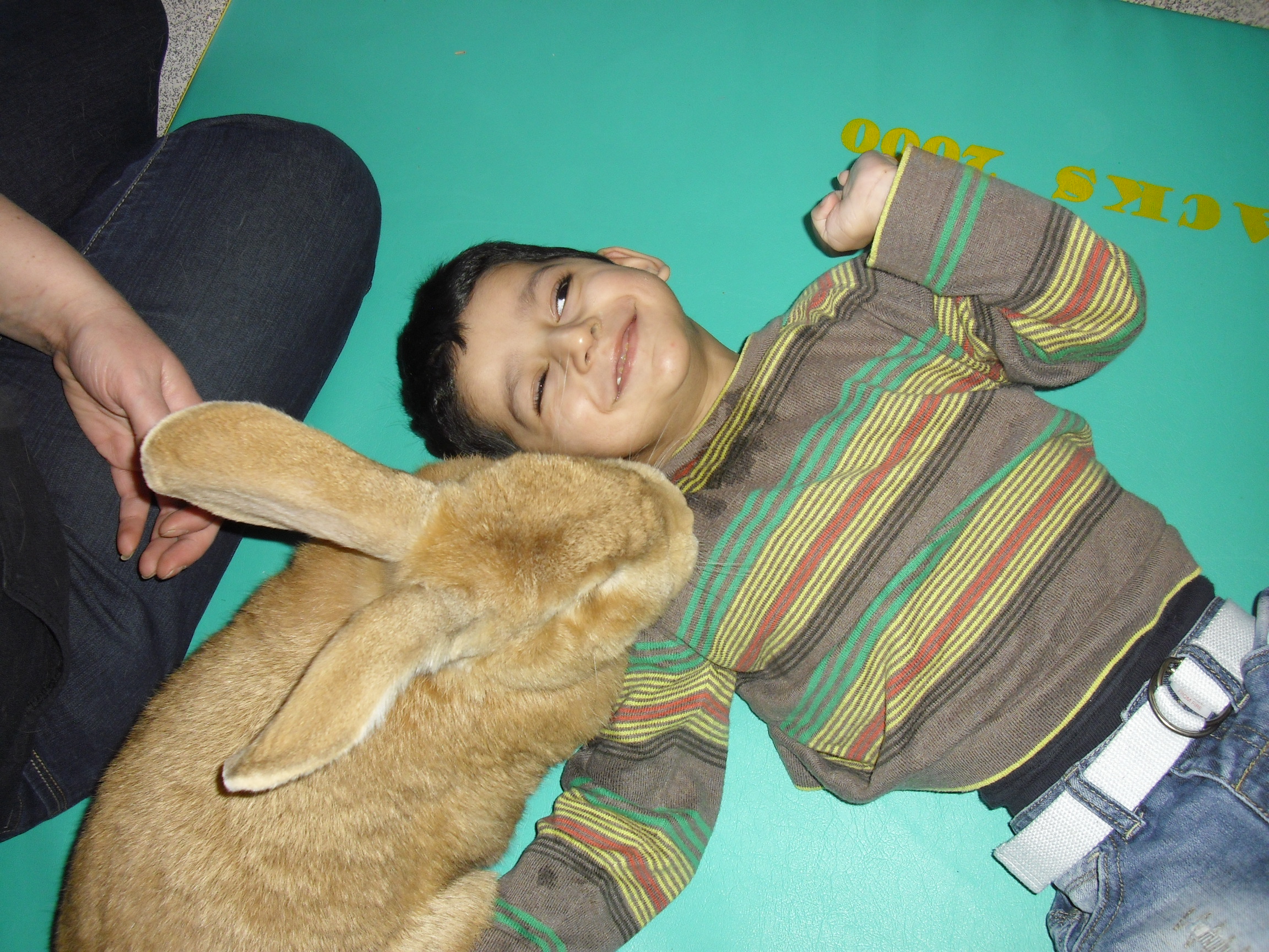 Cooper's Critters visit School.