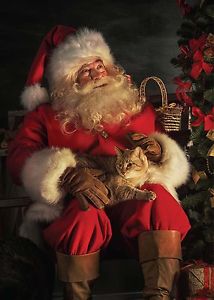 Visit from Father Christmas & Party lunch