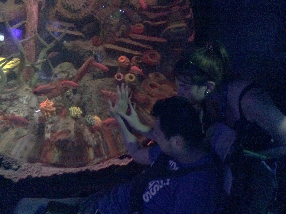 TG1 Sealife Centre Trip