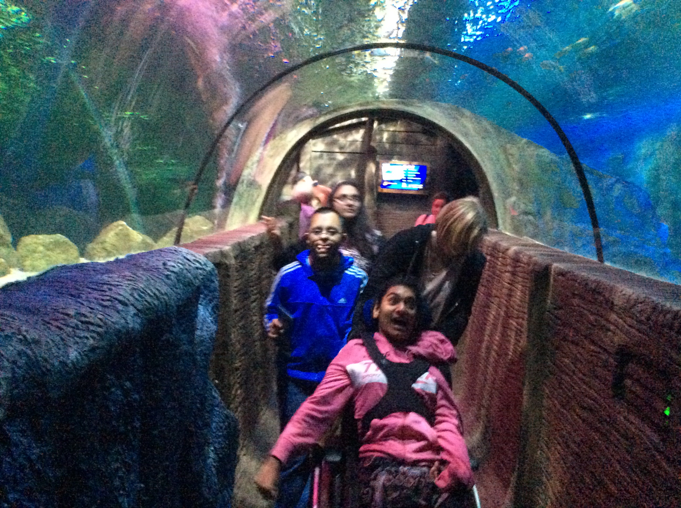 TG1 Summer Trip - The Sealife Centre