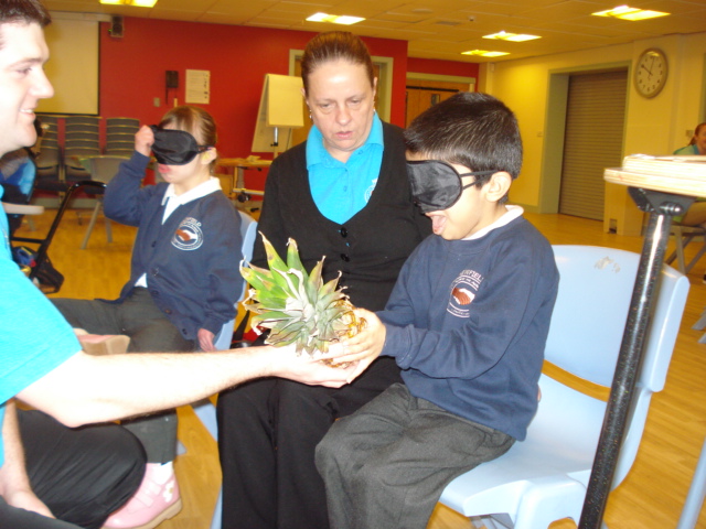 Sensory Fair Trade Trail