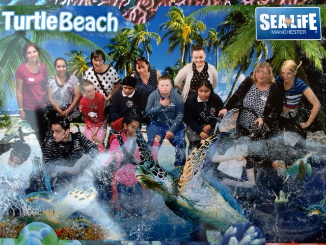 Sealife Centre Manchester visit