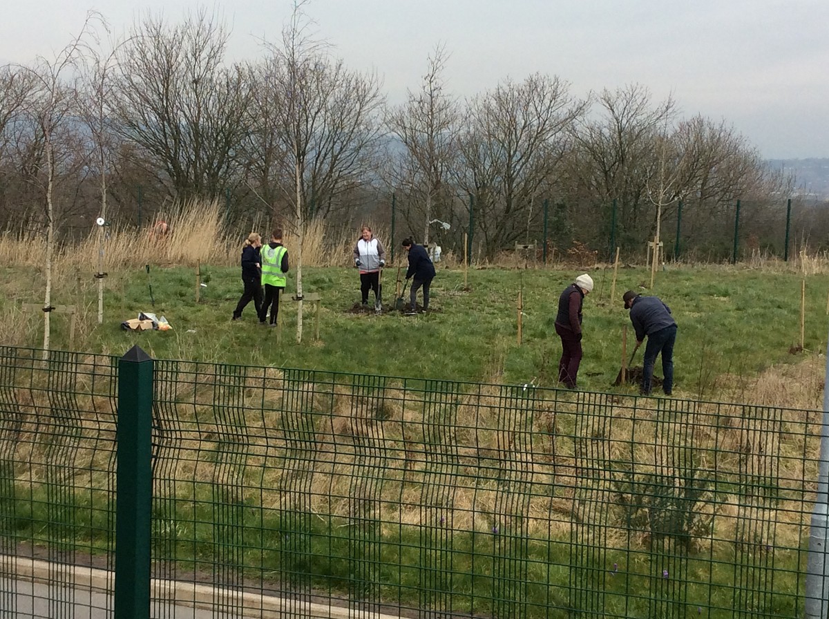 Tree Planting with River Ribble Trust - part II