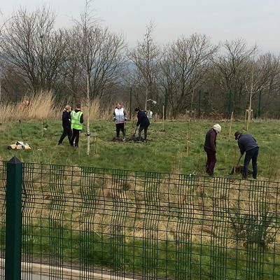 Tree Planting with River Ribble Trust - part II