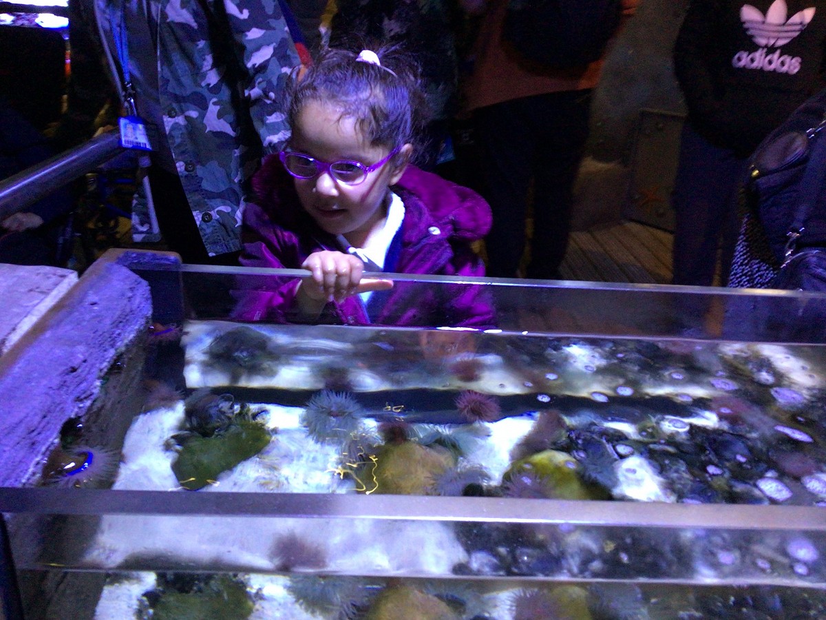 Summer Trips 2022 - part IV