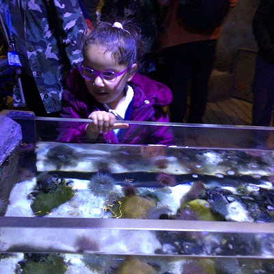 Summer Trips 2022 - part IV